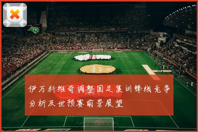 伊万科维奇调整国足集训锋线竞争分析及世预赛前景展望