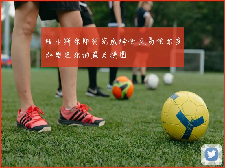 纽卡斯尔即将完成转会交易帕尔多加盟里尔的最后拼图